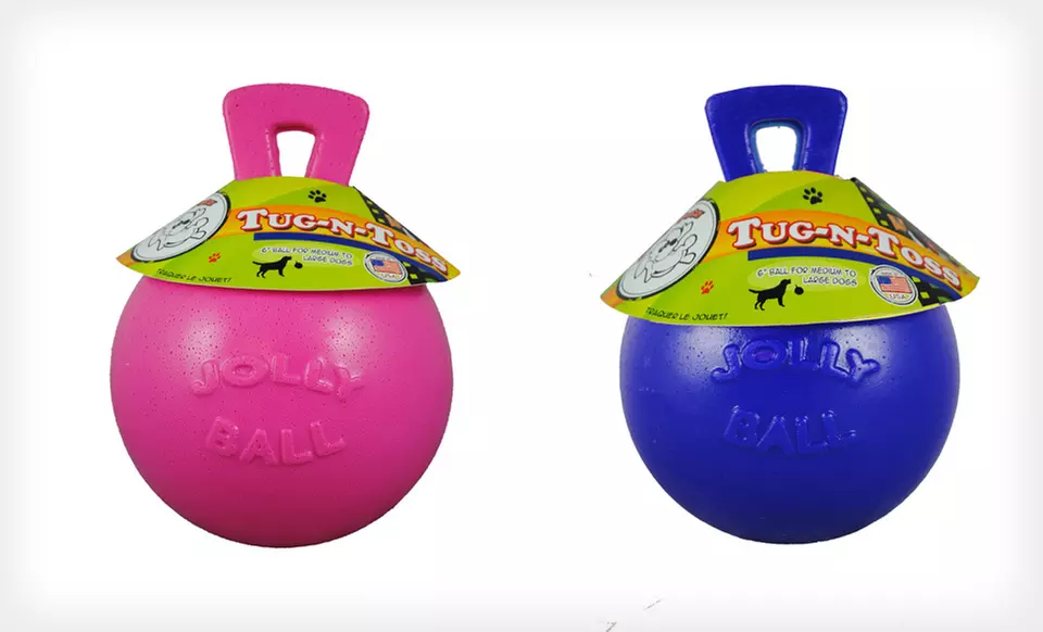 Jolly Pets Tug-n-Toss Dog Toys (Up to 67% Off). Multiple Sizes and Colors Available. - Primary Image
