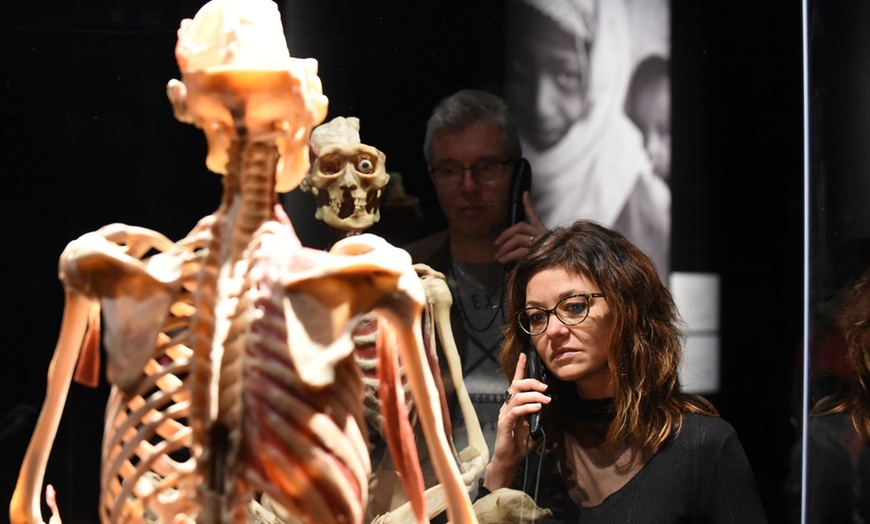 Image 4: 1 Ticket für Körperwelten in Hanau, einlösbar vom 17.11-05.12.2025