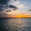 Image 10: Premium All-in-One Sunset, Dolphin, Eco & History Tour - St. Augustine