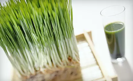 One Acai Berry or One or Three Wheatgrass Juice Powder Supplements from OrgaNick Life (Up to 53% Off) - Primary Image