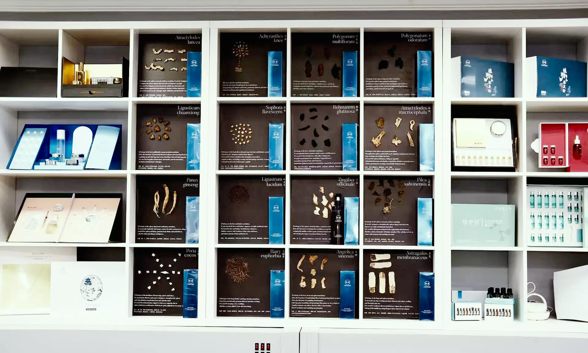 Melt Stress Away: Targeted Back & Foot Relief with Hot Stone Warmth