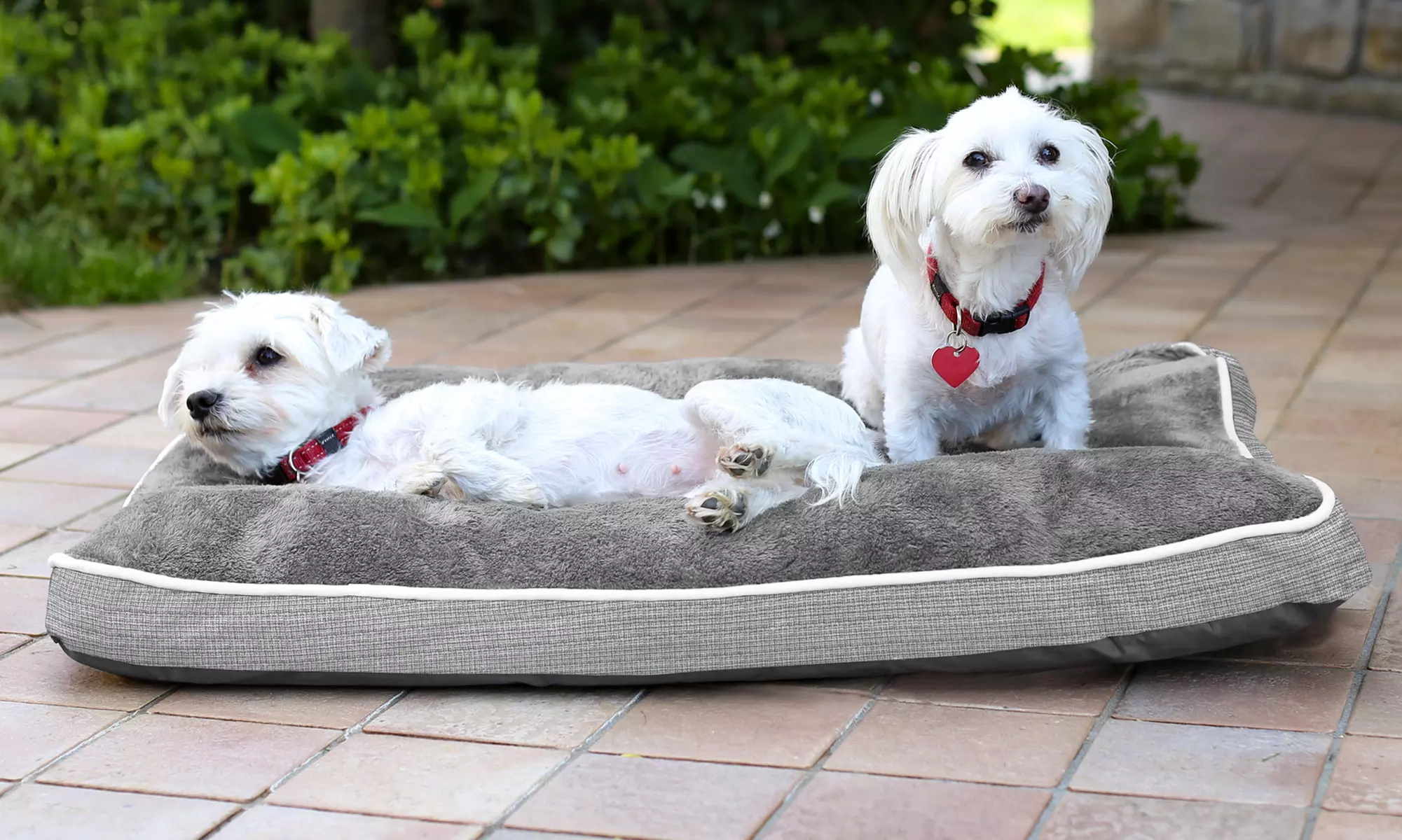 Almohada acolchada cuatro estaciones para mascotas - Primary Image