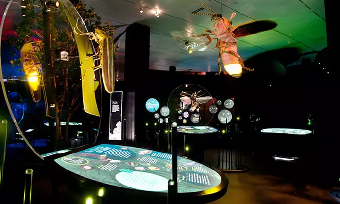 Admission to "Creatures of Light: Nature's Bioluminescence" at Canadian Museum of Nature (Up to 34% Off) - Primary Image