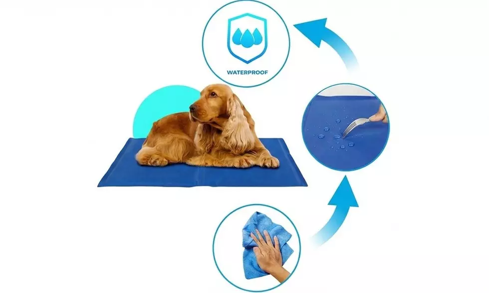 Alfombrilla refrigerante para mascotas con tecnología de gel frío