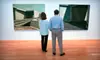 Laguna Art Museum Visit for One, Two, or Four (Up to 58% Off)