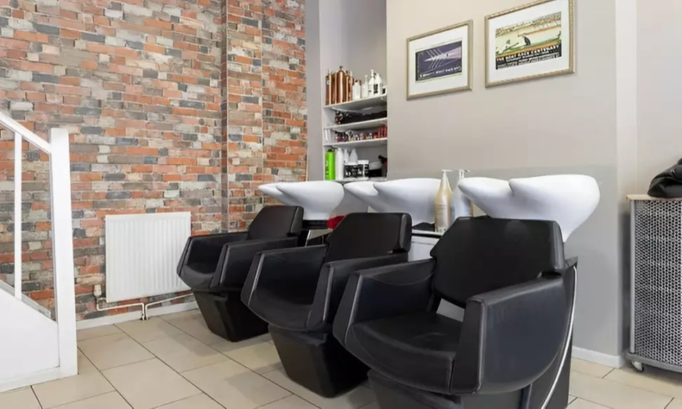 Ladies Wash, Cut, Blow-Dry + Opt Condition, Half Highlight or Balayage