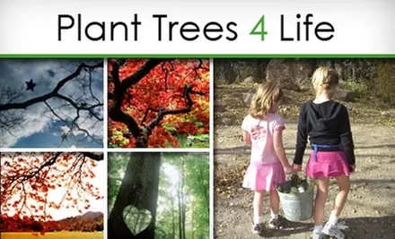 $21 for a Side-by-Side Tree Planting for a Loved One from Plant Trees 4 Life ($35 Value) - Primary Image