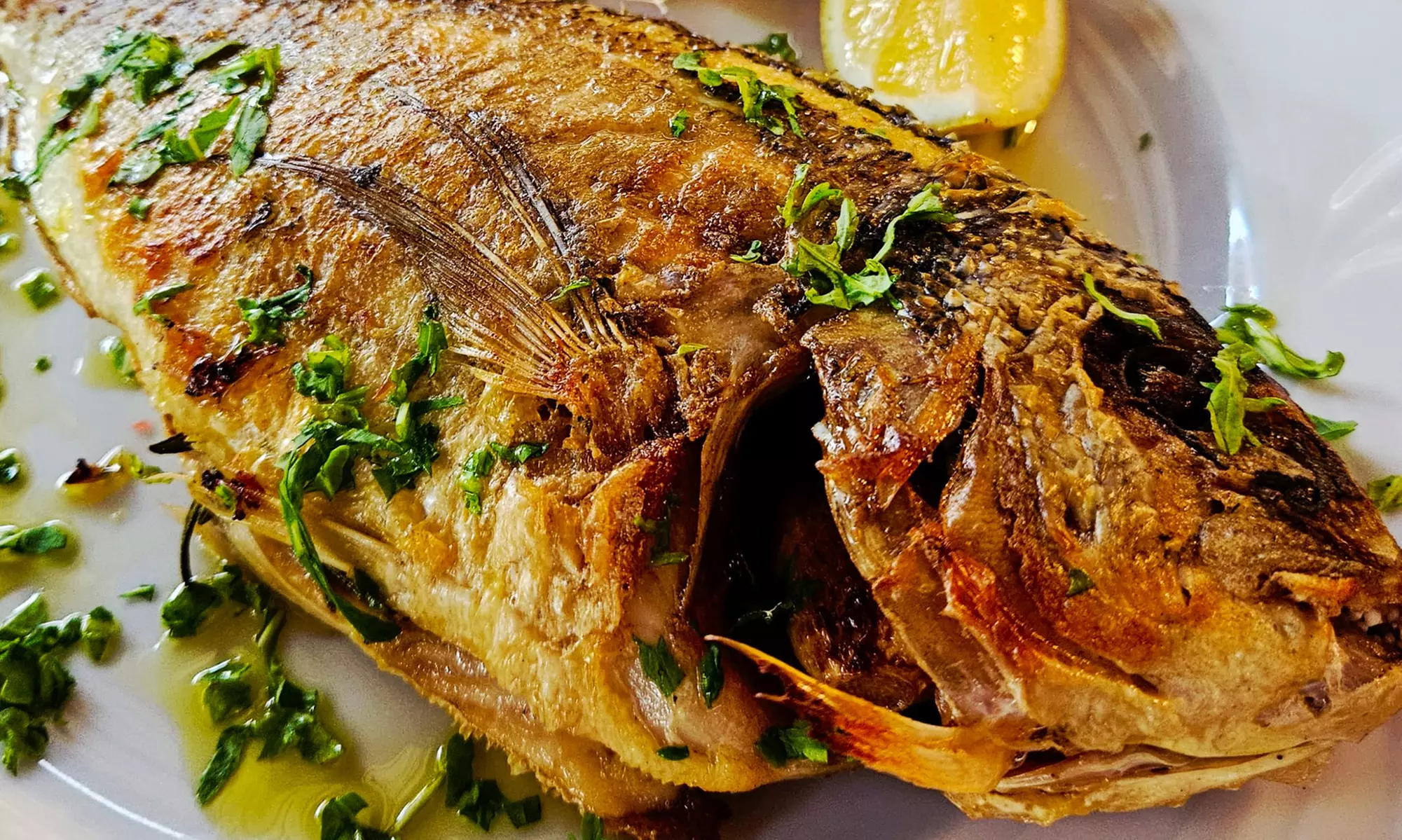 Italienisches 4-Gänge-Menü mit Fisch/Fleisch & Prosecco für 2-4 Pers.