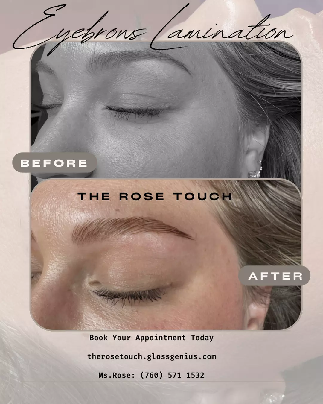 Lash Tint, Eyebrow Lamination, Korean Lash Lift or Brow and Lash Tint