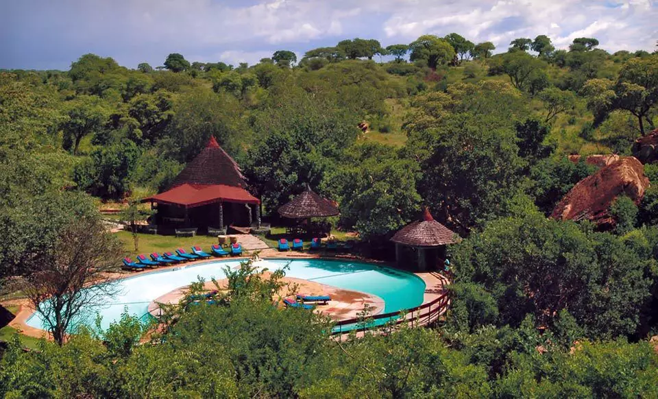 Seven-Night Tanzania Safari with Airfare from Odyssey Safaris - Primary Image