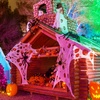 Image 8: HallOVeen Single-Day Passports at Opportunity Village’s Magical Forest