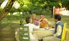Mosquito Barrier Spray on Up to a Half or Full Acre from Mosquito Squad (Up to 56% Off)