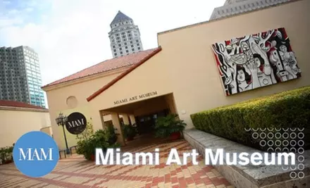 $20 for a One-Year Membership to the Miami Art Museum - Primary Image