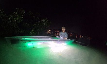 1-Hour LED Illuminated Clear Kayak Glow Evening Tour - Watersports Now LLC