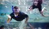 General Admission w/ 4 Feeding Bags, Admission to Snorkel w/Stingrays, or Birthday Party Package (Up to 36% Off)