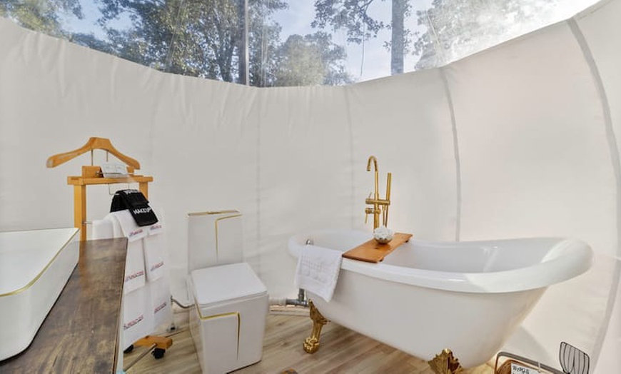 Image 8: Luxury Glamping Domes w/ Pool & Hot Tub, Just Outside Houston