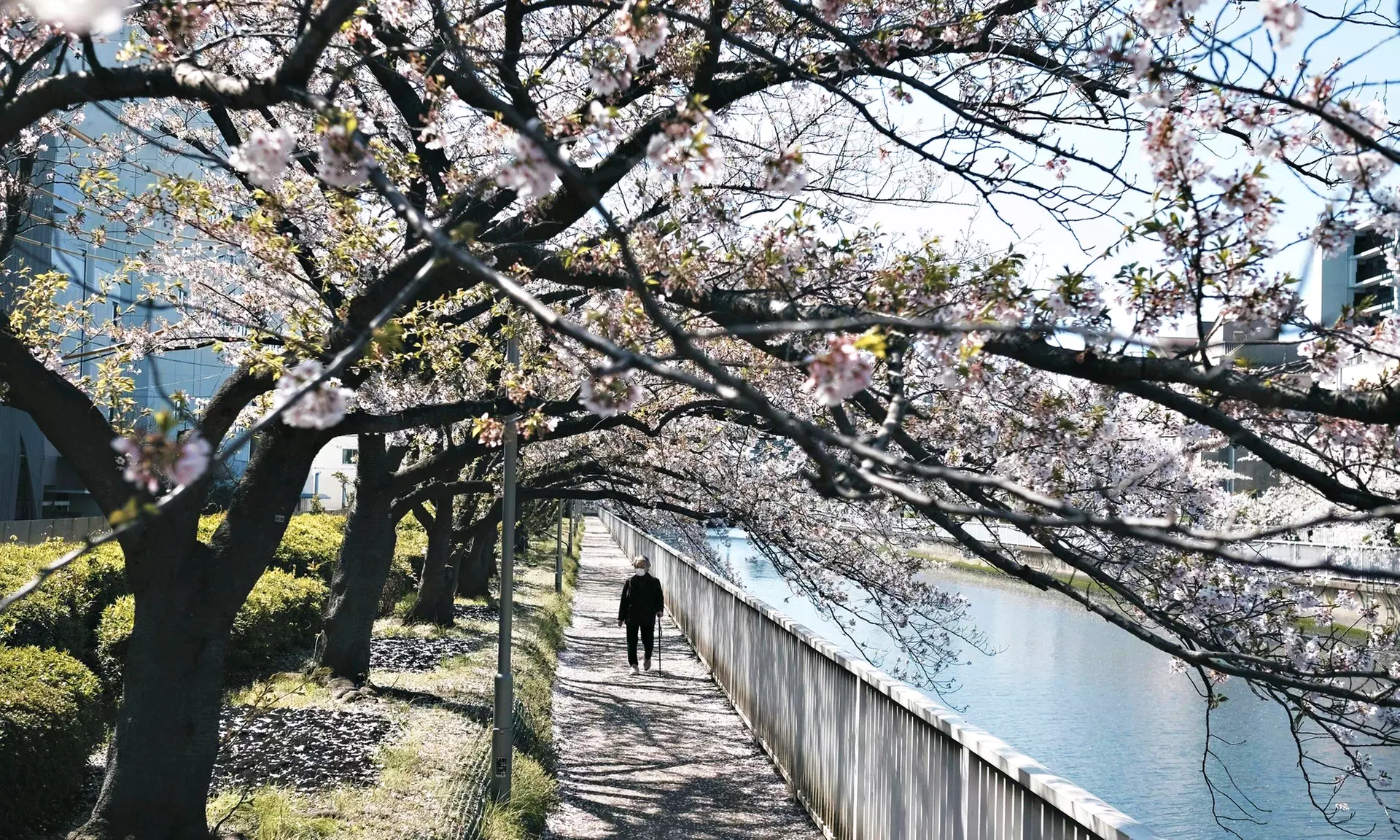 ✈ Tokyo: 8-Day Getaway with Hotel & Flights from Worldee