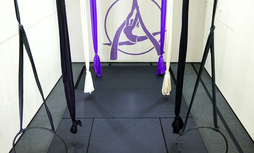 Image 4: Kids' Aerial Silks Fitness Classes - Aspire Aerial Dance and Movement