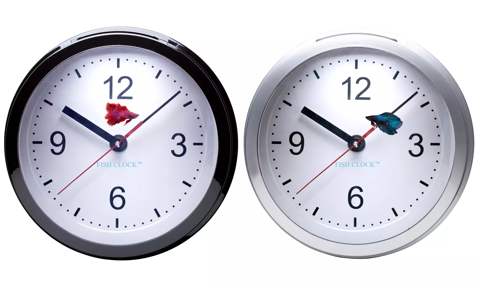 Aquavista Betta Fish Clock and Aquarium - Primary Image
