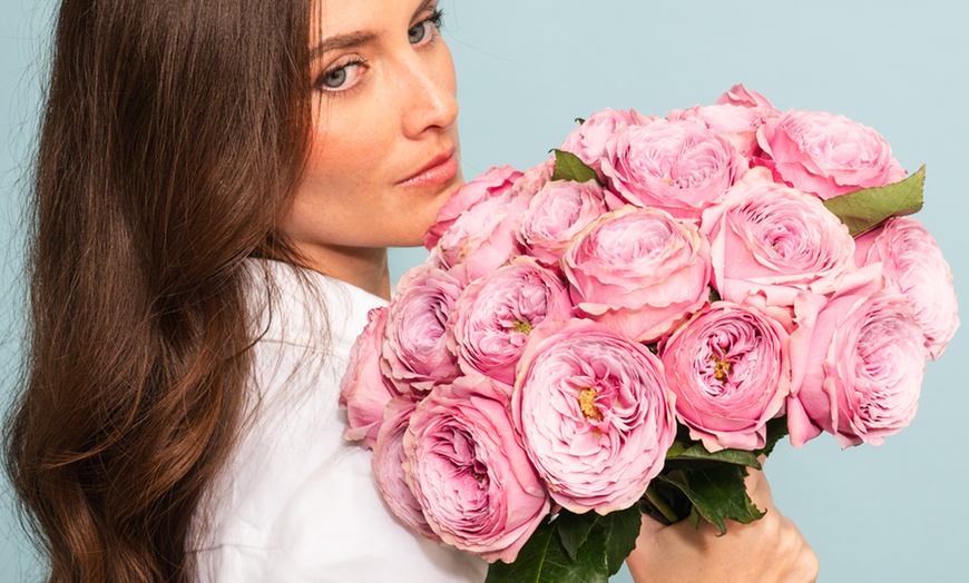Image 1: A floral treasure: Garden & Peony-Style Roses from Rosaholics (Up to 71%% Off) 