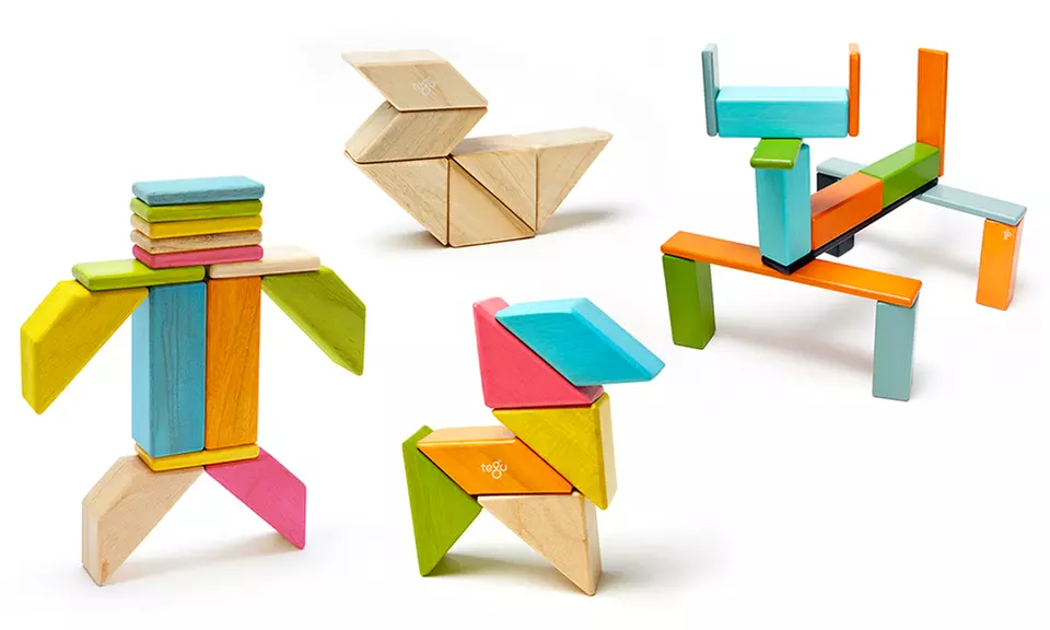 Tegu Magnetic Wooden Block Set - Primary Image