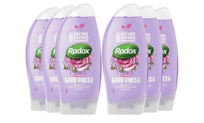 Image 15: Radox Shower Gels 250ml