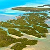 Image 14: Up to 45 Miles of Helicopter Rides Over Florida Keys w/ Fly Heli 