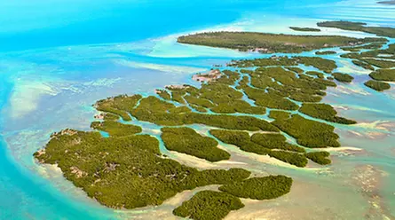 Up to 45 Miles of Helicopter Rides Over Florida Keys w/ Fly Heli