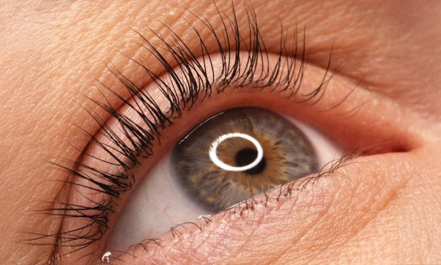 Image 1: Wimpern- und/oder Augenbrauen-Lifting inkl. färben für 1 Person