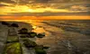 $49 for One Nature-Photography Course at Outdoor Photo Workshops ($129 Value)
