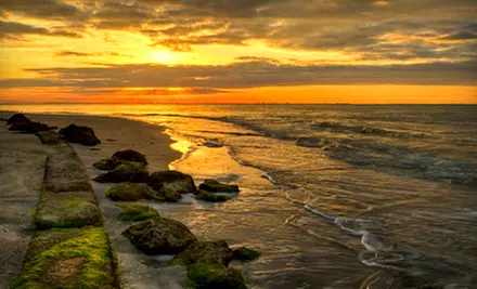 $49 for One Nature-Photography Course at Outdoor Photo Workshops ($129 Value) - Primary Image