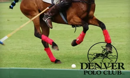$35 for a One-Hour Small Group Polo Lesson at Denver Polo Club in Littleton ($70 Value) - Primary Image