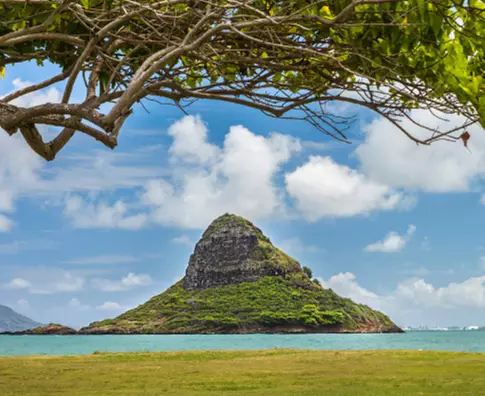 Small-Group Circle Island Tour – Comfortable & Personalized Experience