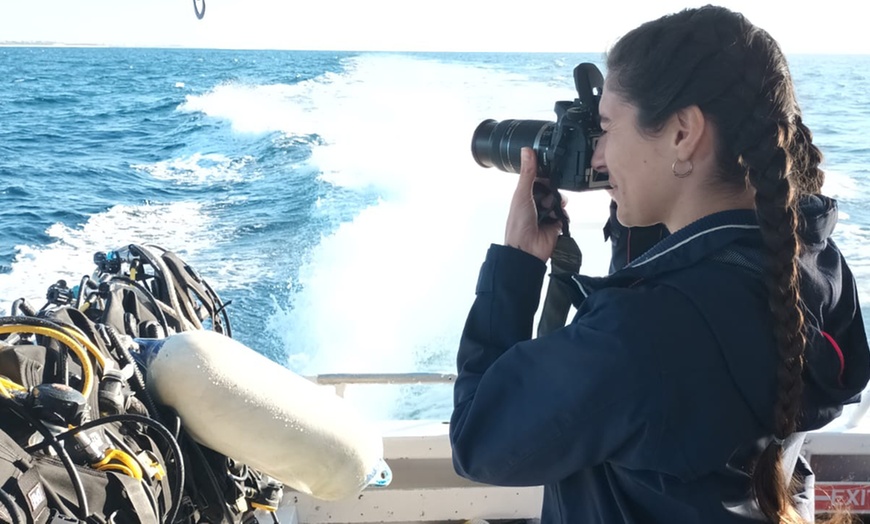 Image 5: Tickets to Whale Watching Cruise (Ages 6+)