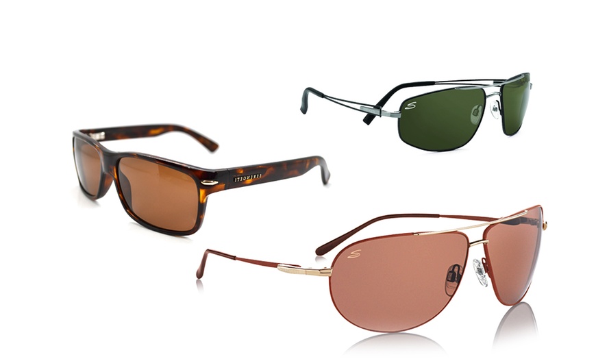 Serengeti sunglasses sales vasio