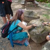 Image 4: Waimea Falls Hiking Tour – Oahu
