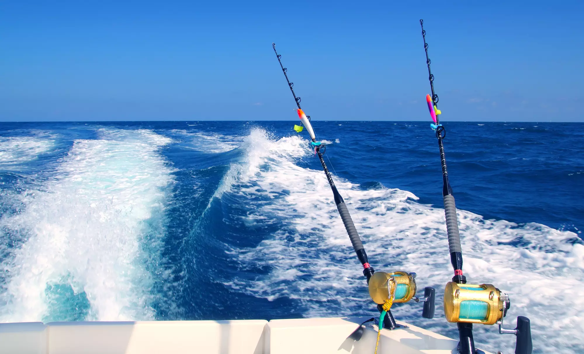$195 for $390 Worth of Services at Daytona Beach Charters - Primary Image