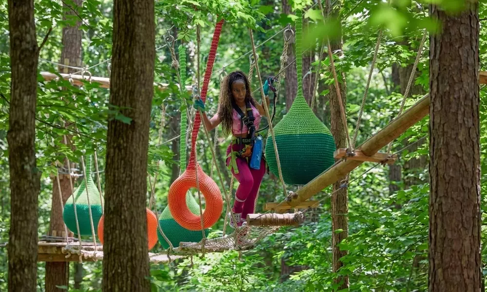 Treetop Quest Philly - Aerial Adventure & Ziplines for upto Six People