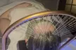 Tre Lux Wellness Lounge Offers Signature or Awaken Detox Hair Growth Japanese Scalp Massage (Up To 27% Off) - Second Medium
