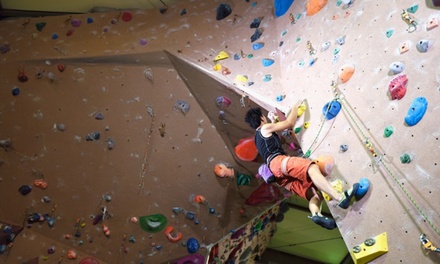 Indoor climbing, High rope course, Bouldering - Compete High