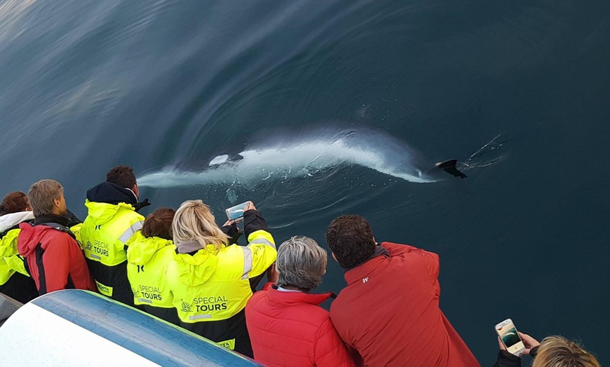 Image 6: Iceland: Choice of Excursions