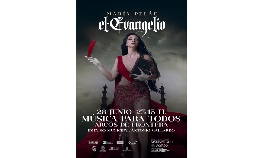 Image 3: 1 entrada al festival "Música para Todos" el 28 de junio de 2025