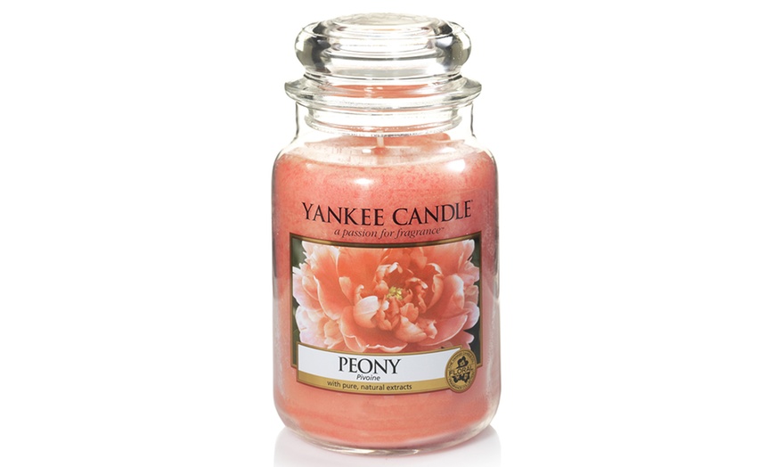 Image 10: Yankee Candle Summer Scents