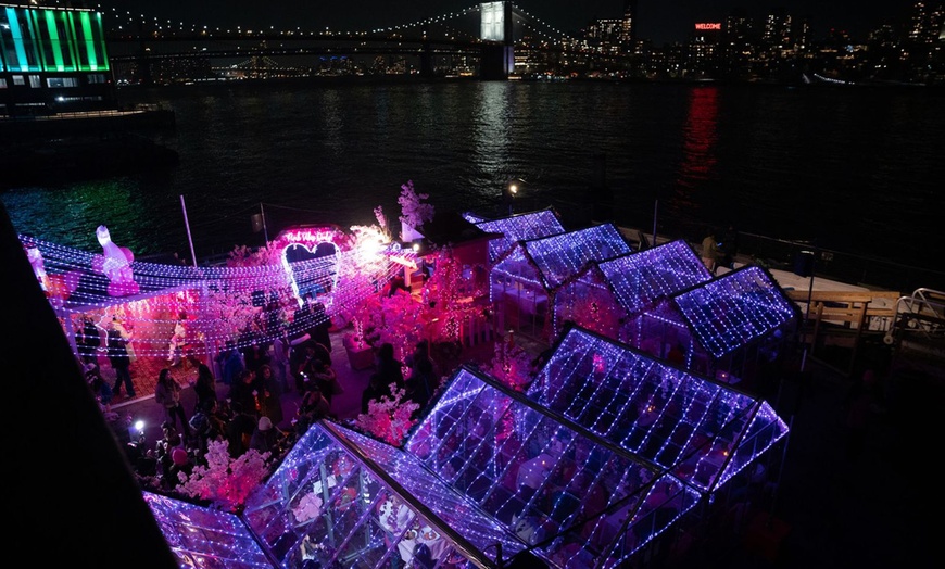 Image 8: VIP General Admission with Flex Pass Ticket to Pink Pier