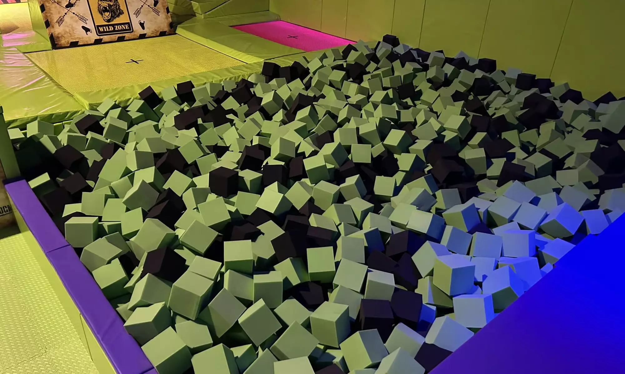 Odlotowa rozrywka w sercu dzikiej dżungli: codzienne bilety wstępu