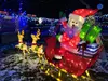 Experience Zootah's Dazzling Zoo Lights: A Festive Winter Wonderland for the Whole Family