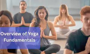 Yoga Essentials: Fundamentals & Practice Exploration Online Course from Training Station (Up to 63% Off)