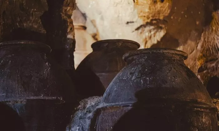 Visita guiada a bodega con cata de vinos para 2, 4 o 6 personas