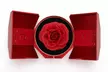 Elegant Preserved Eternal Rose and Necklace Gift Set - Image 4