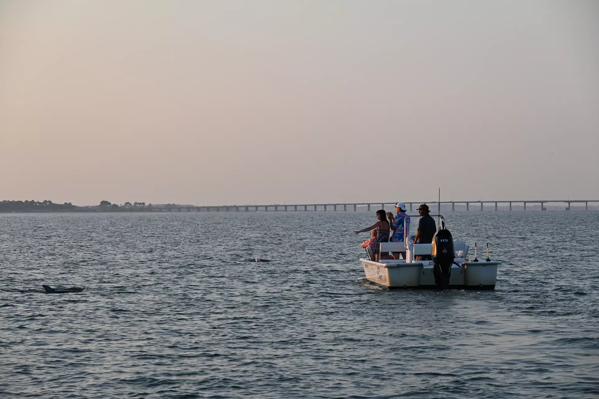 Private Sunset & Wildlife Cruises in Ocean City